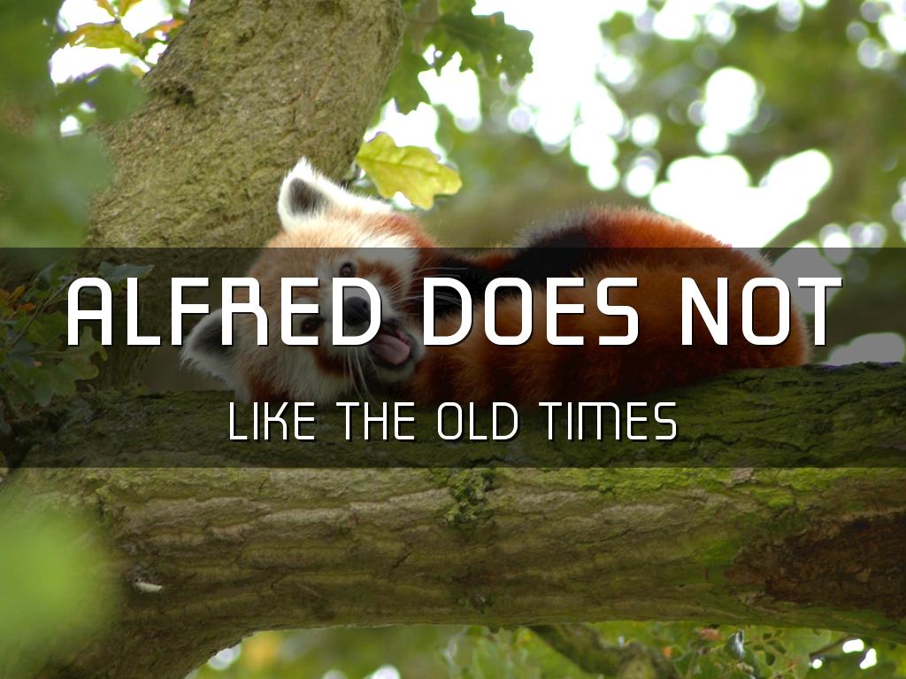 Alfred The Red Panda