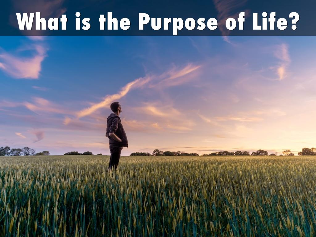 What is the Purpose of Life?