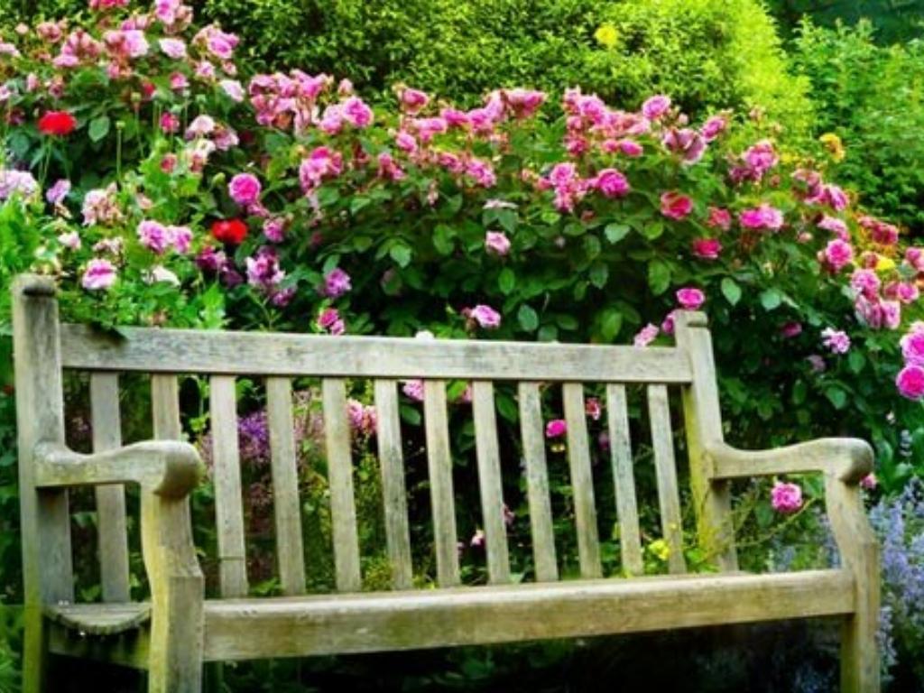 The Benefits of Buying Wooden Furniture for Home Garden