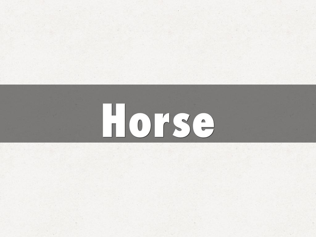 Horse