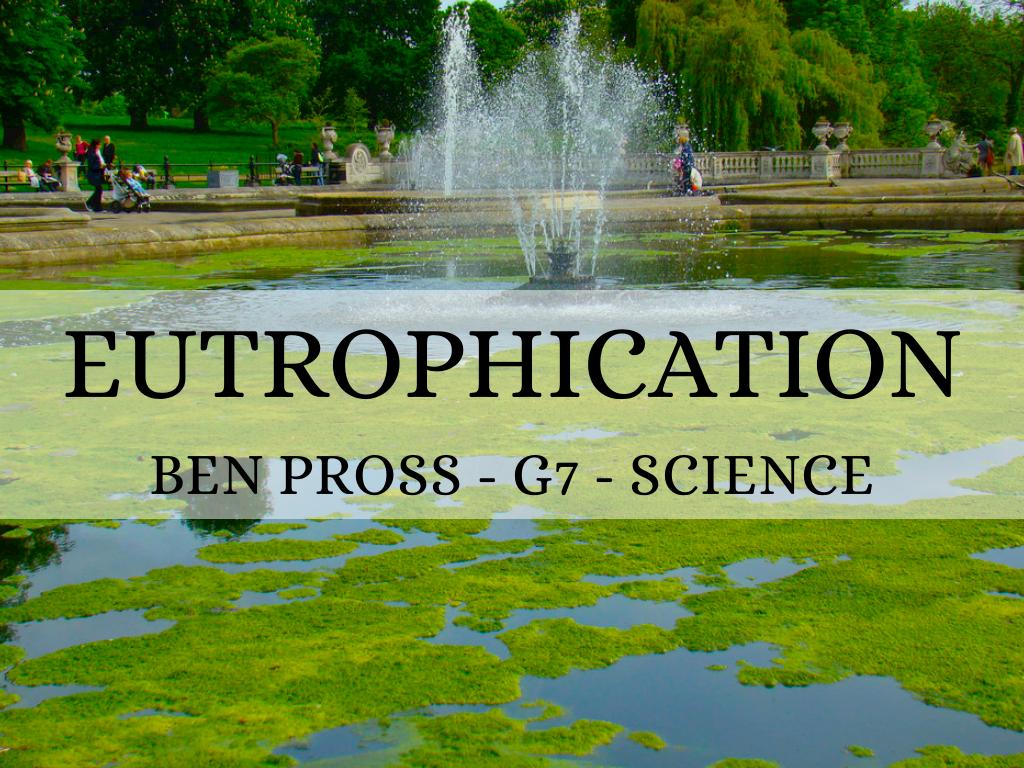 Eutrophication