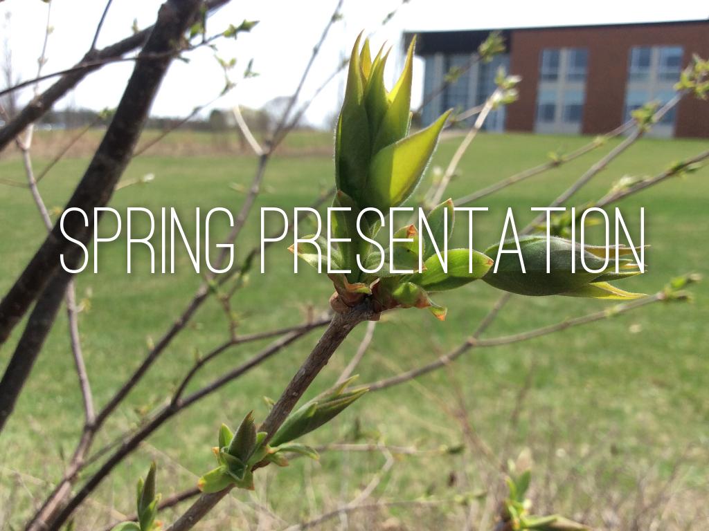 Spring Presentation 