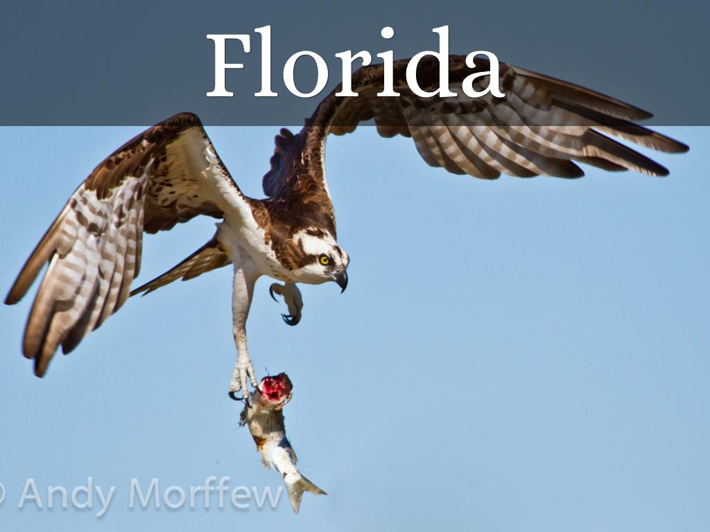 Florida