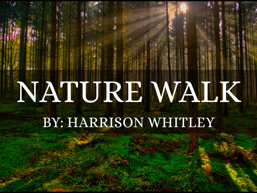 Copy of nature walk