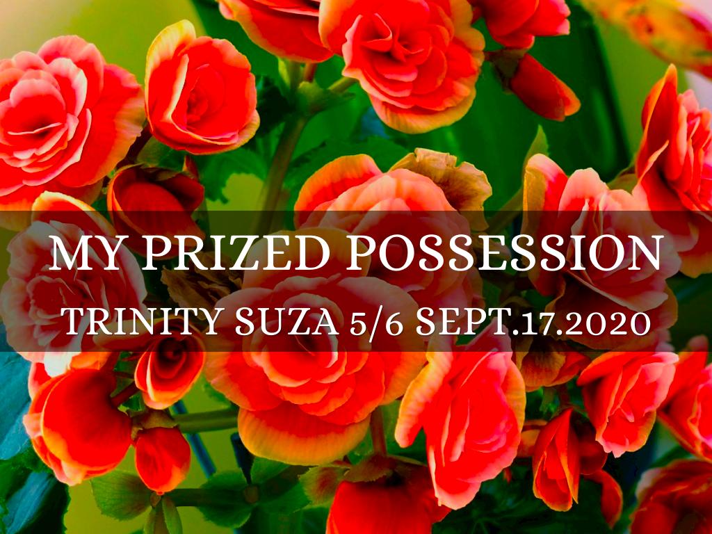 My Prized Possession 