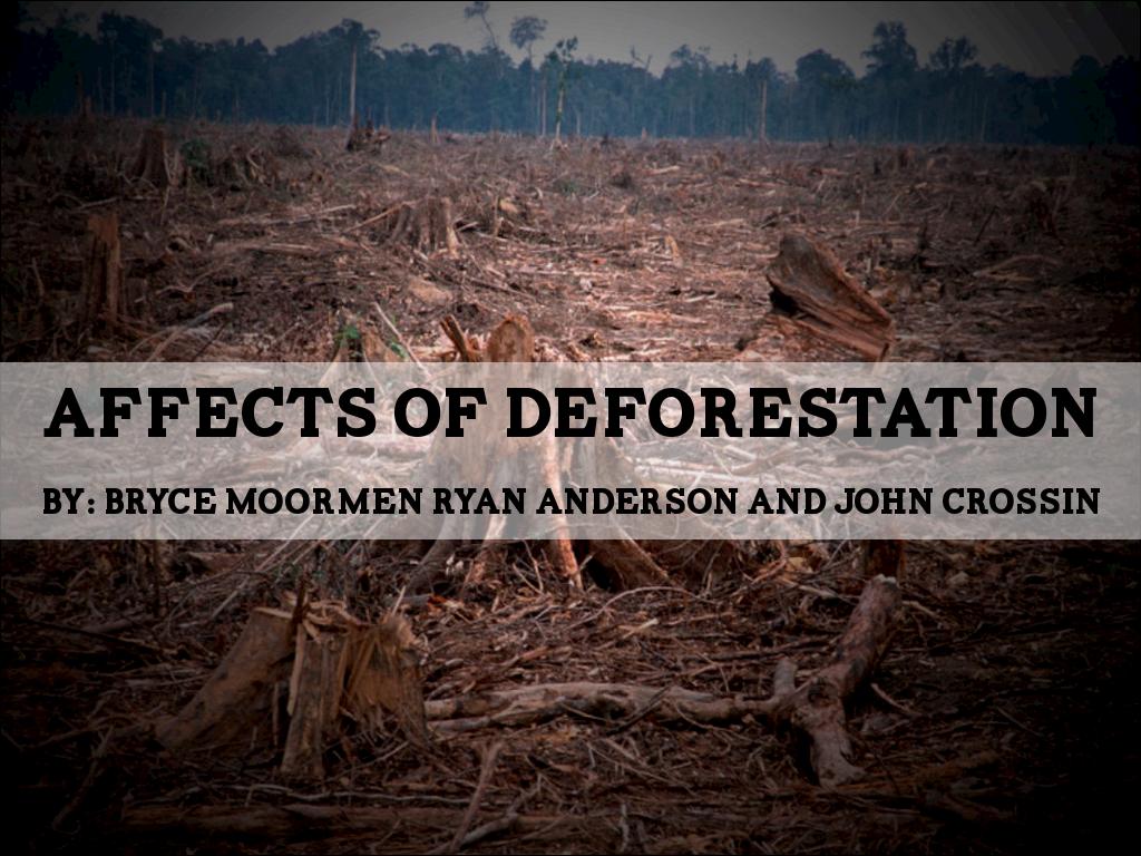 Deforestation 