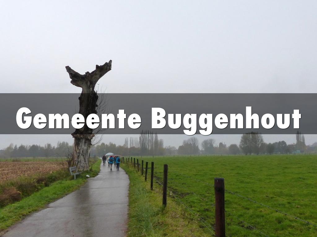 Gemeente Buggenhout