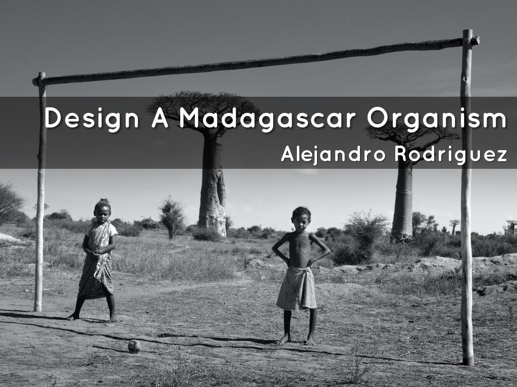 Design A Madagascar Organism