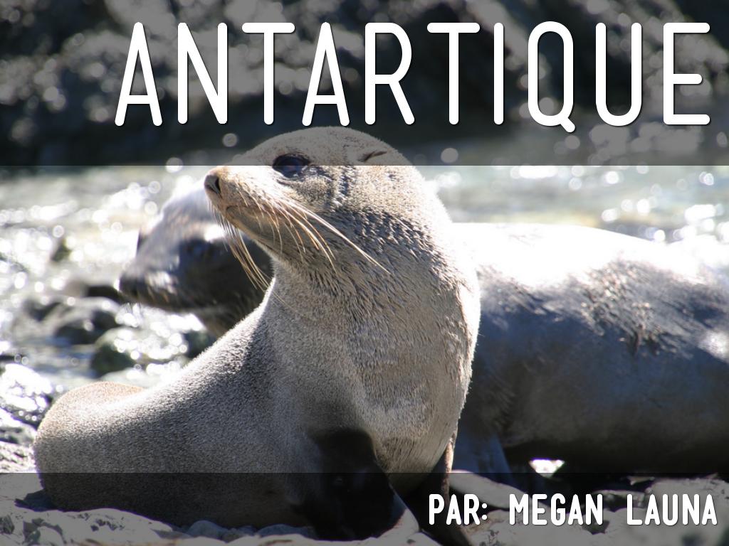 Antarctique 