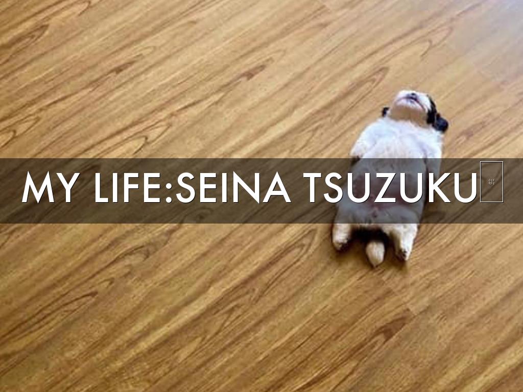 My Life : Seina Tsuzuku