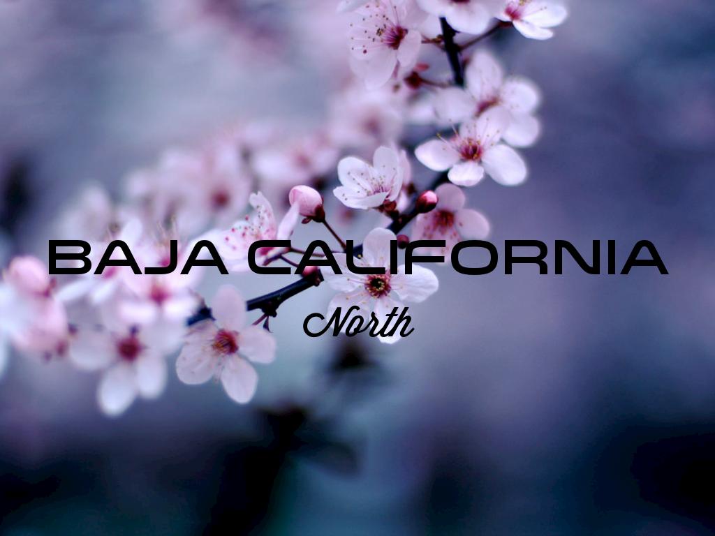 Baja California 