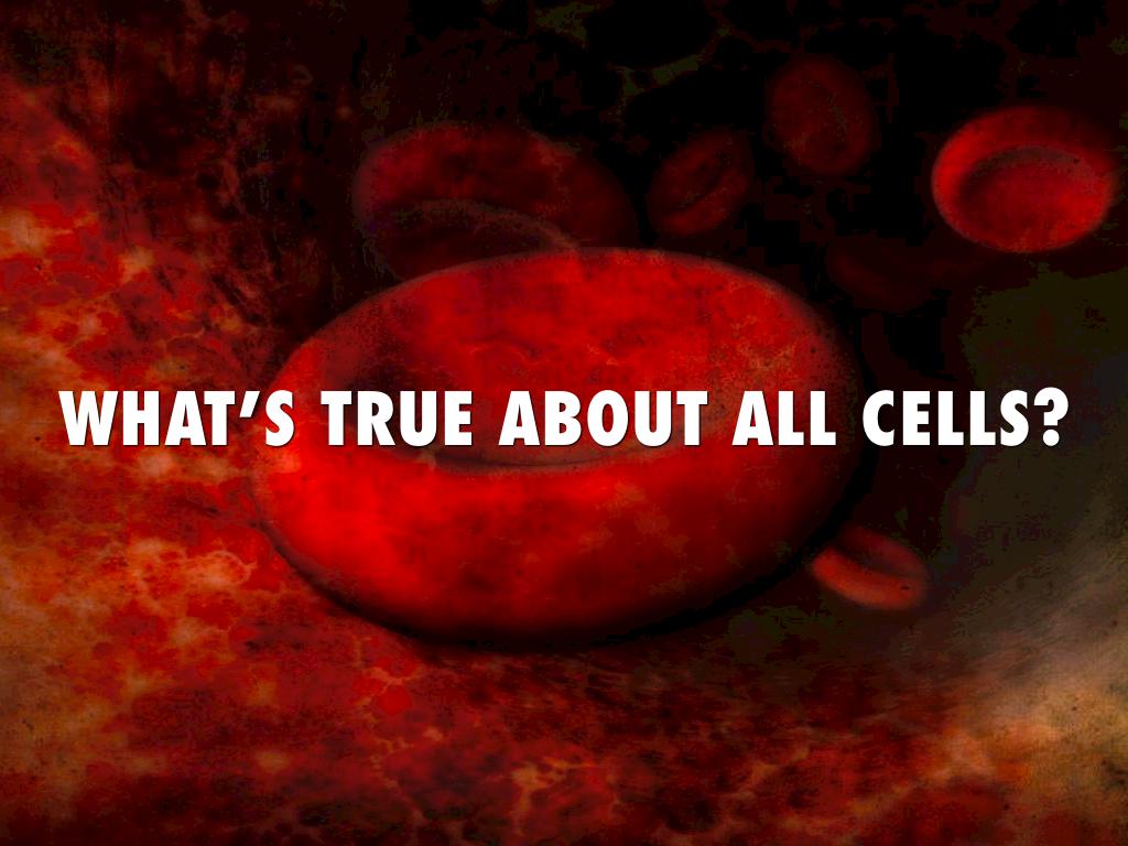 Cell Theory 