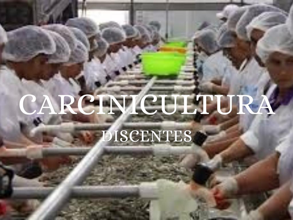 Carcinicultura