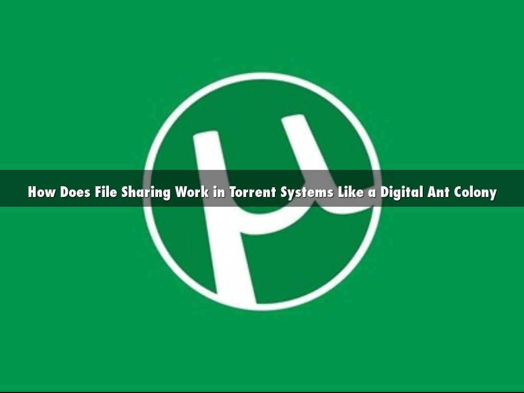 How Does File Sharing Work in Torrent Systems Like a Digital Ant Colony