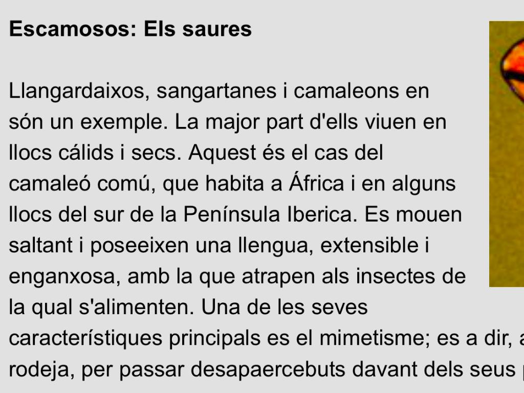 La Classificacio Dels Reptils