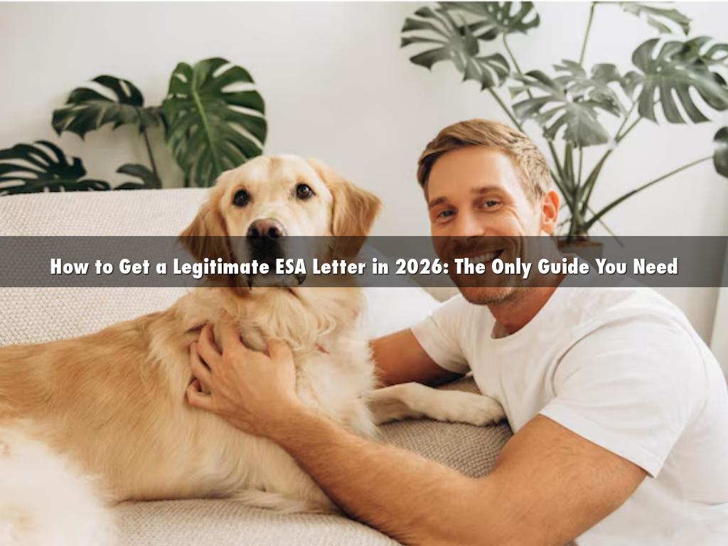 How to Get a Legitimate ESA Letter in 2026: The Only Guide You Need