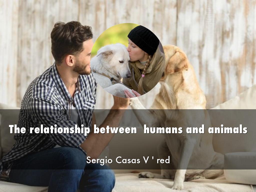 The relation of humans and animals