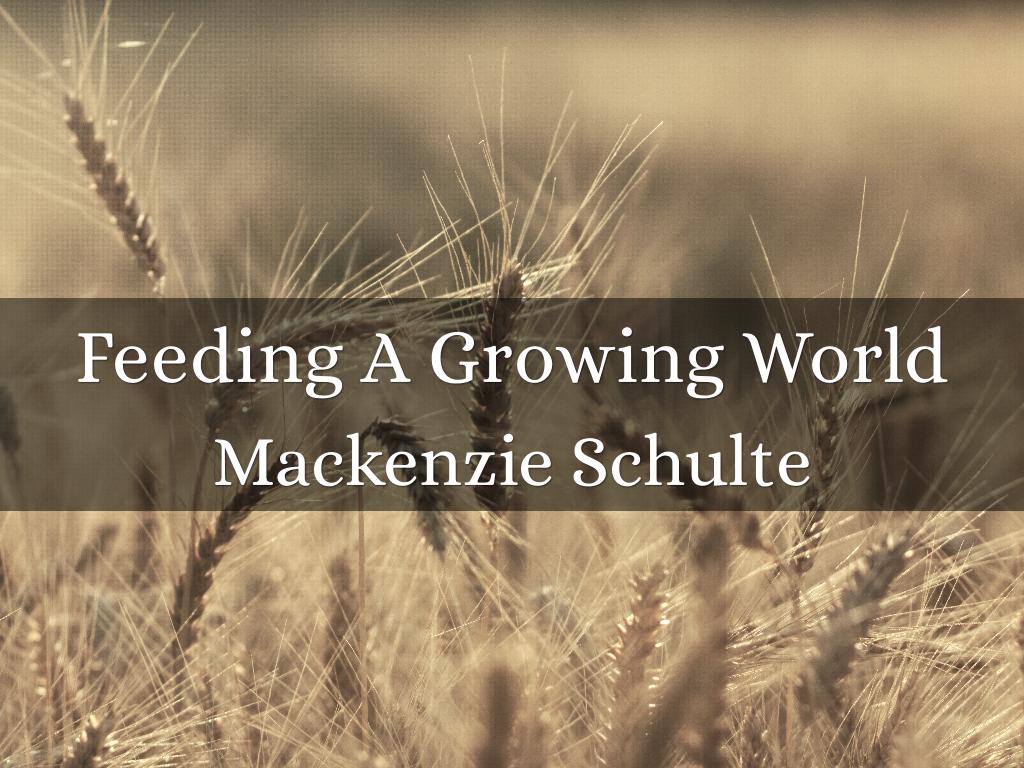 Feeding A Growing World
