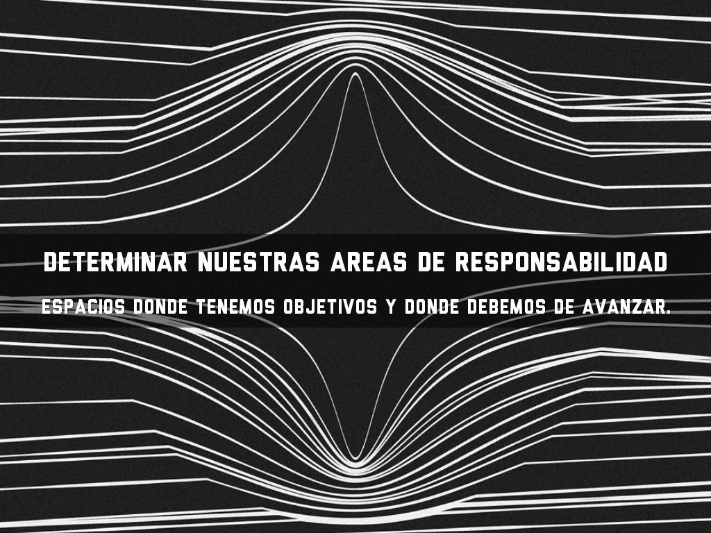 determinar nuestras areas de responsabilidad