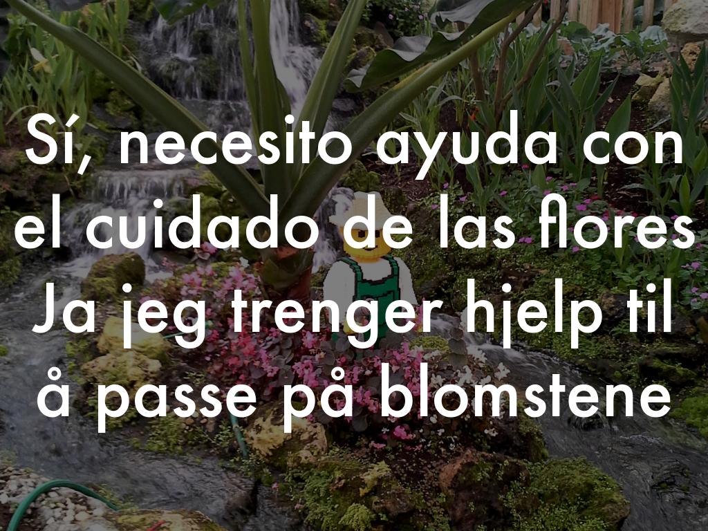 M17-1 Tjenester Gartner by Raili Siiri