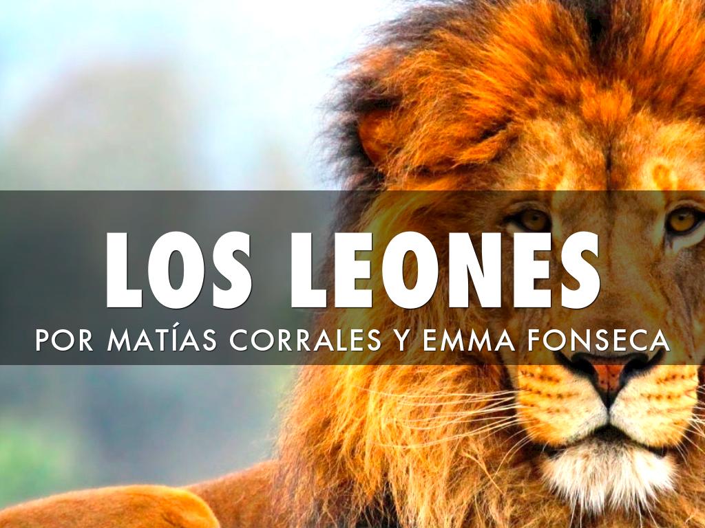 Leones
