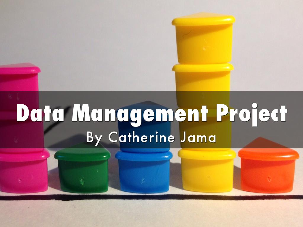 Data Management Project