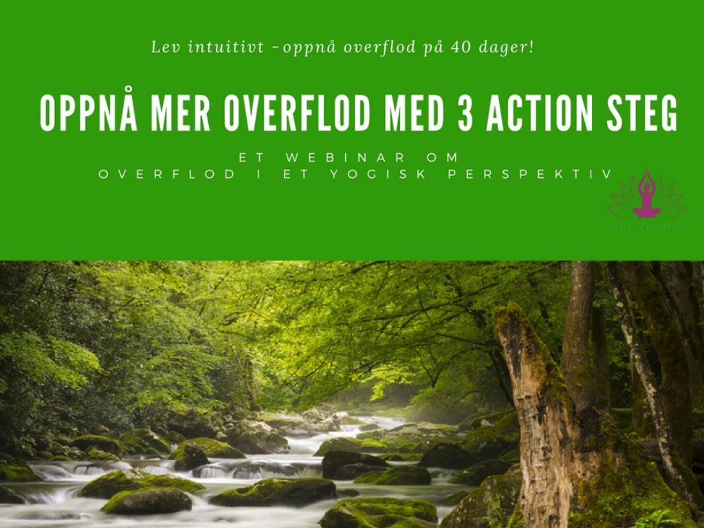 Oppnå overflod på 40 dager 2018