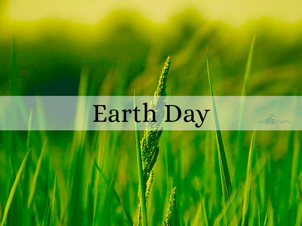 Copia di Customer Quotes & Testimonial Examples