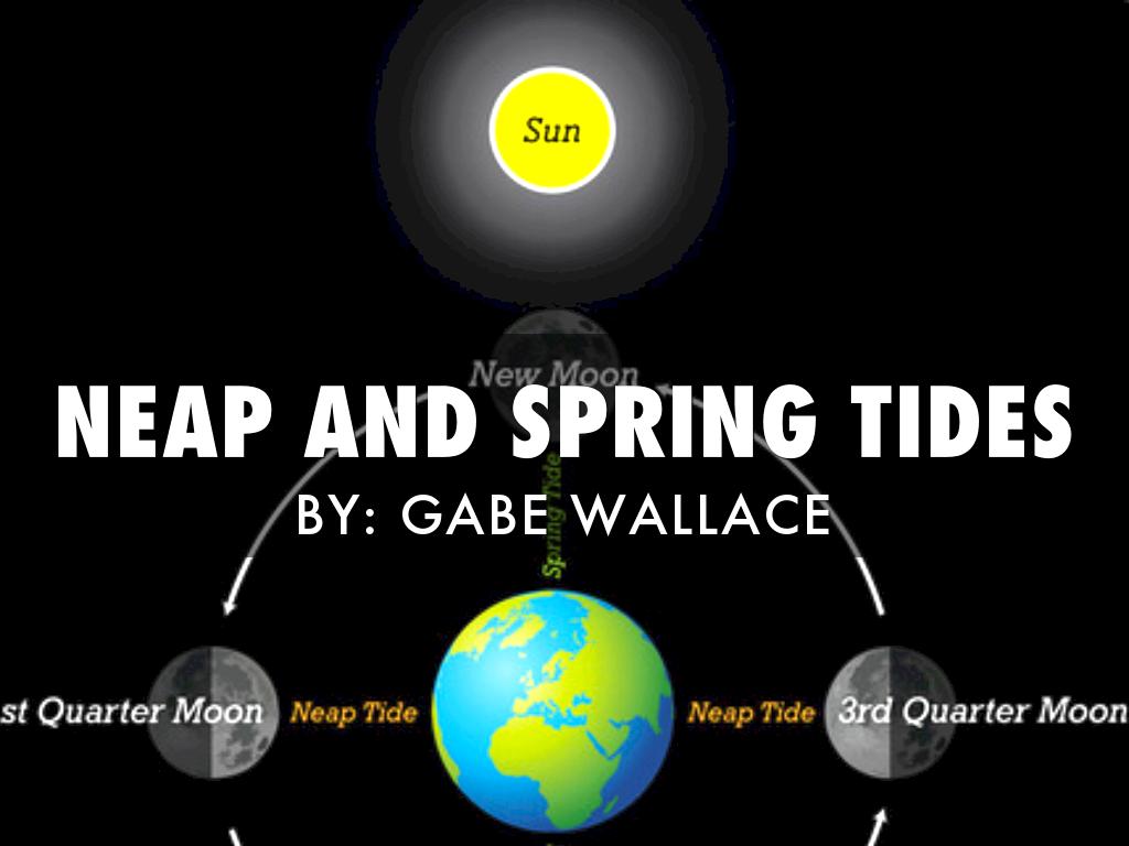 The Tides