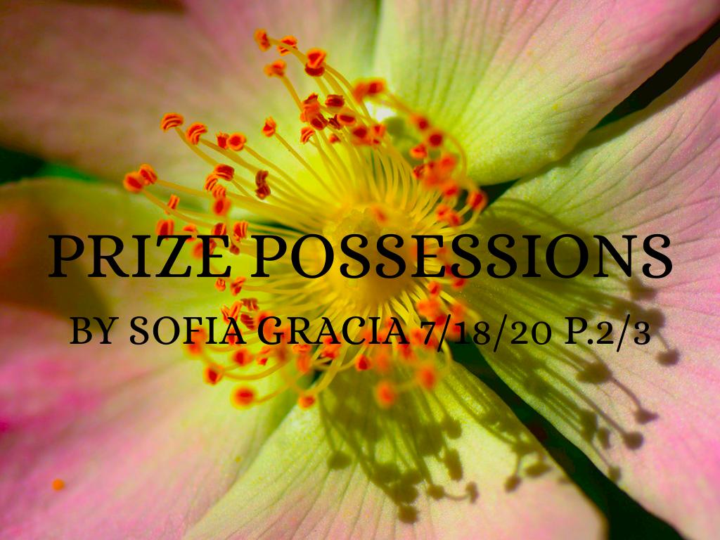Prize Possessions 