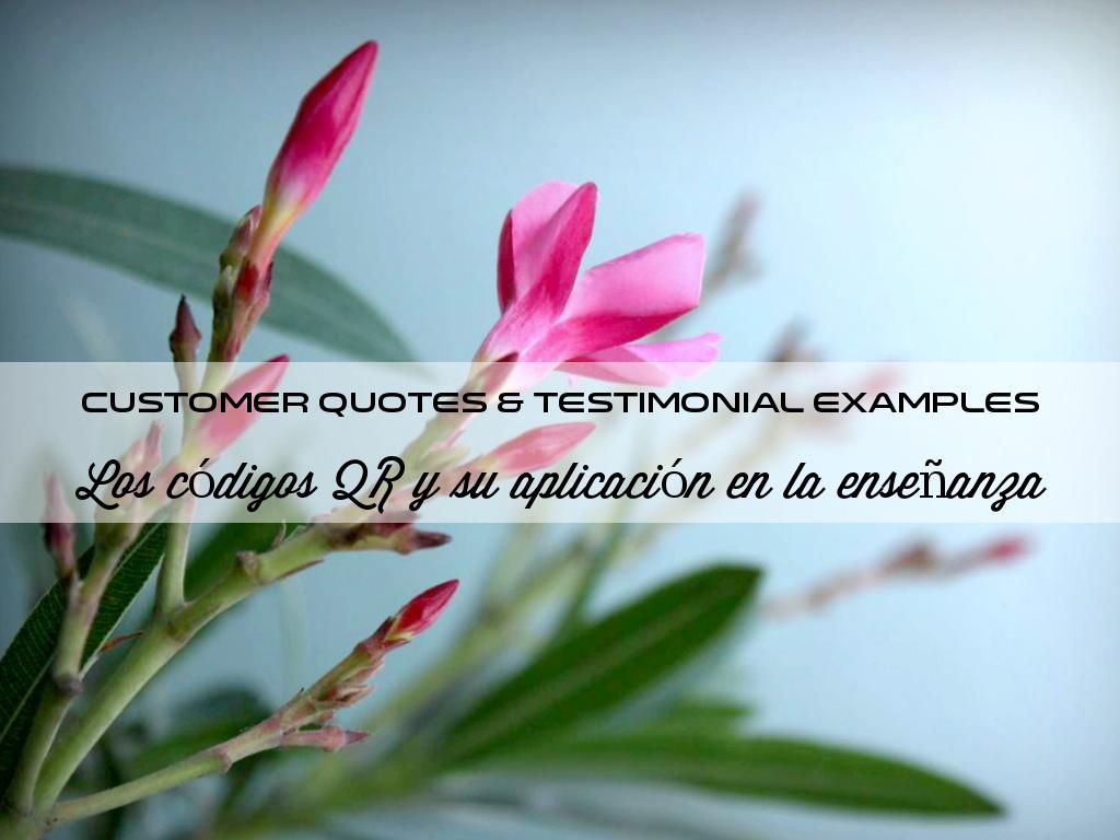 Copia de Customer Quotes & Testimonial Examples
