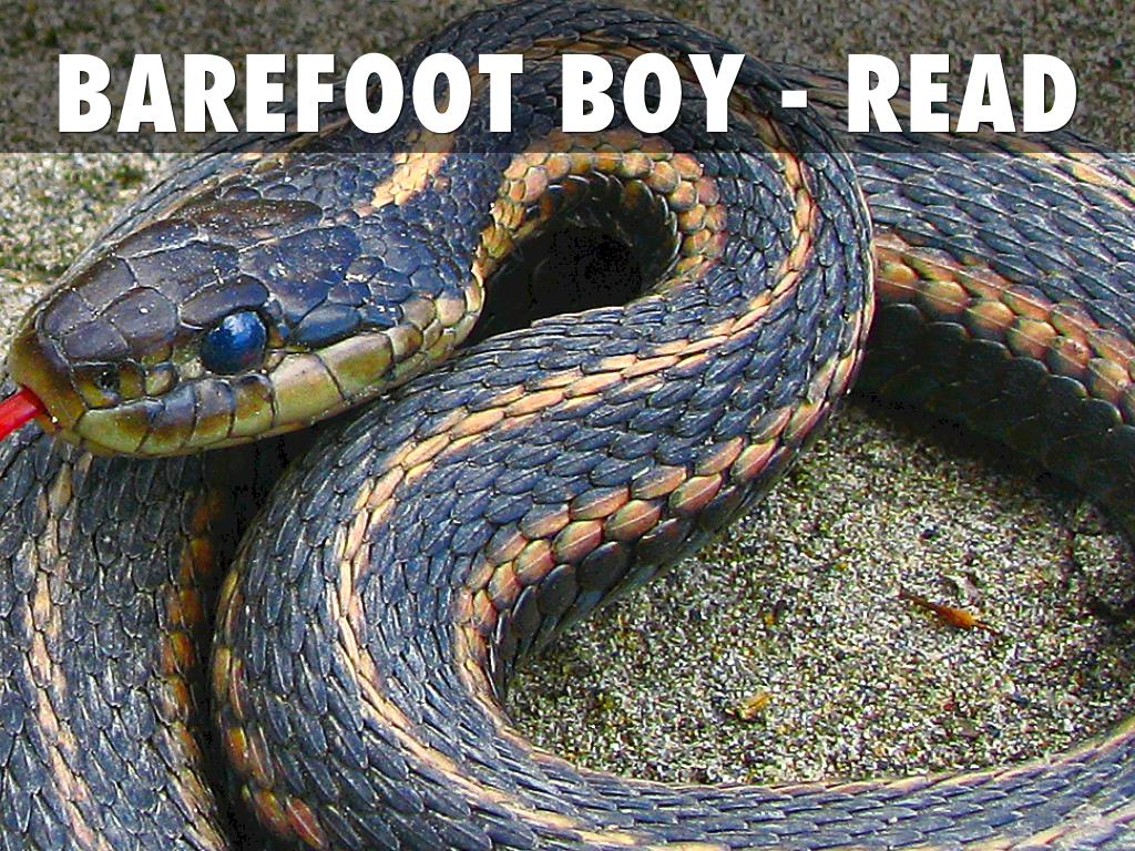 Carmen homework 13 quizlet 04 picture