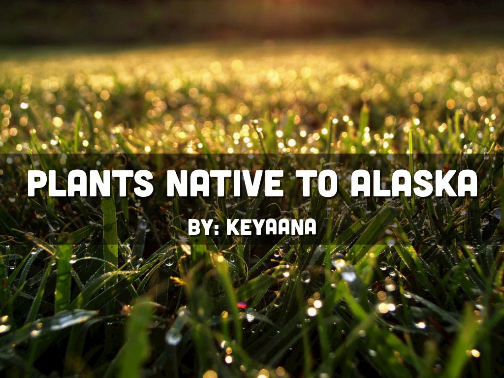 Science Book Of Plants