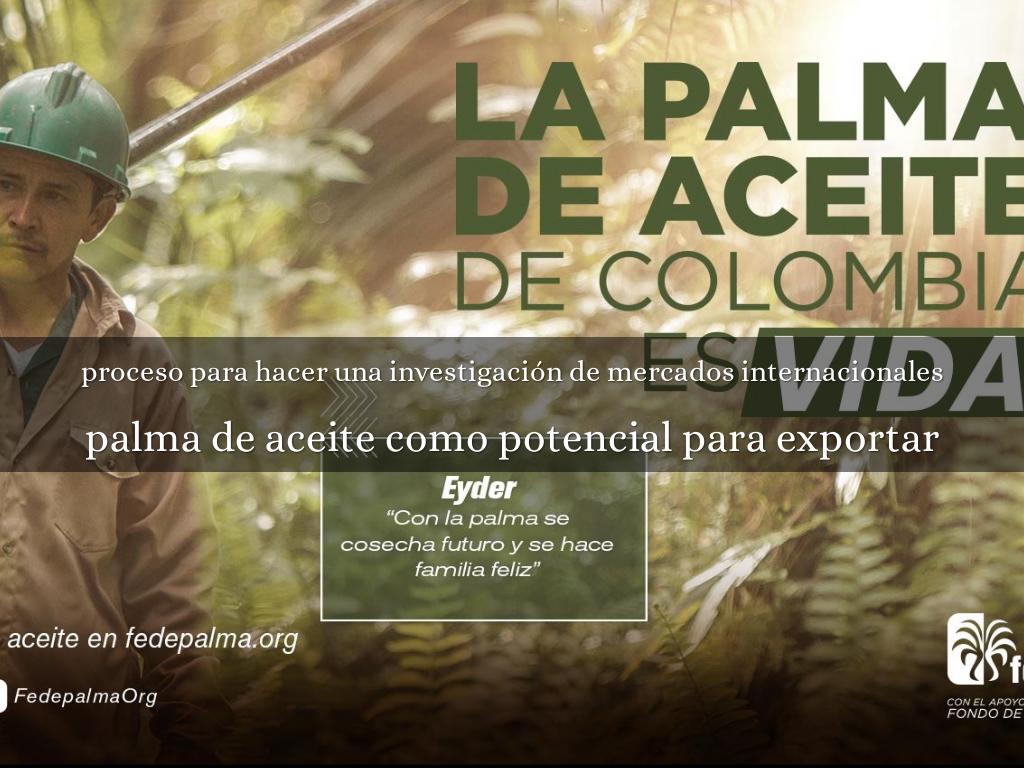 proceso para hacer una investigación de mercados internacionales