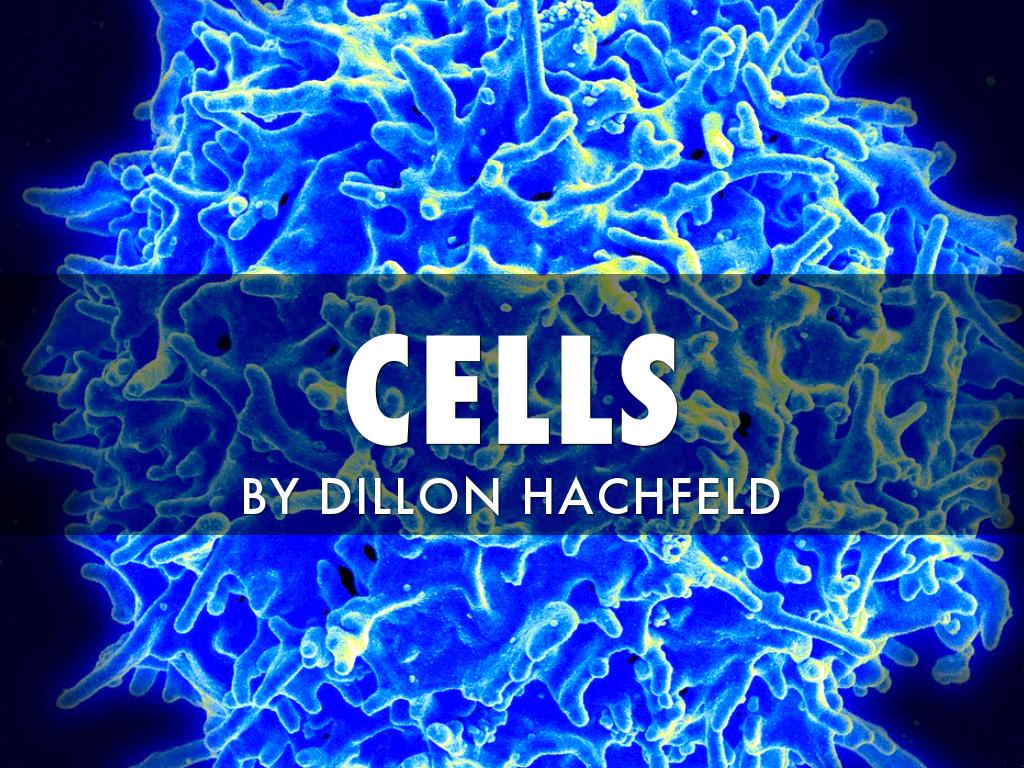 Cells