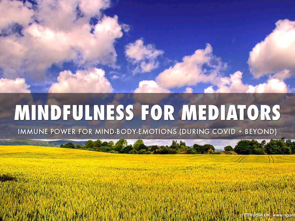Mindfulness for Mediators