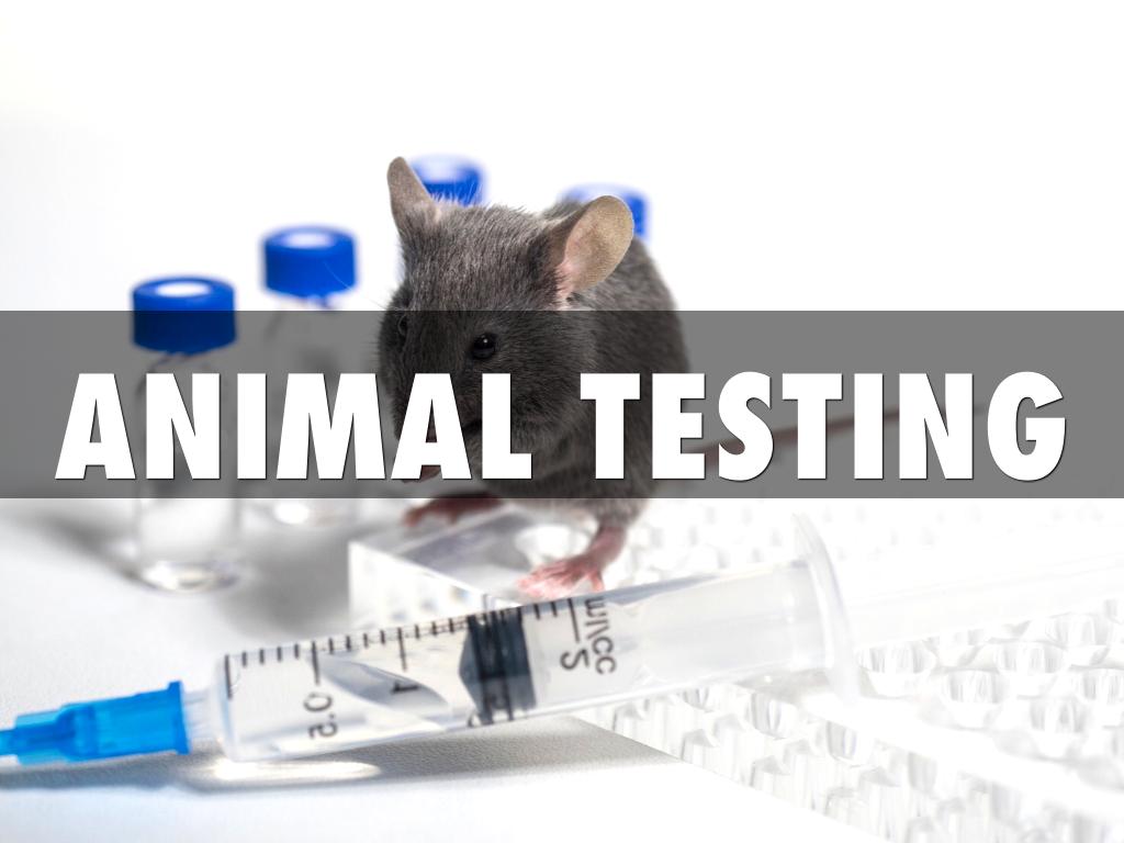 Animal Testing