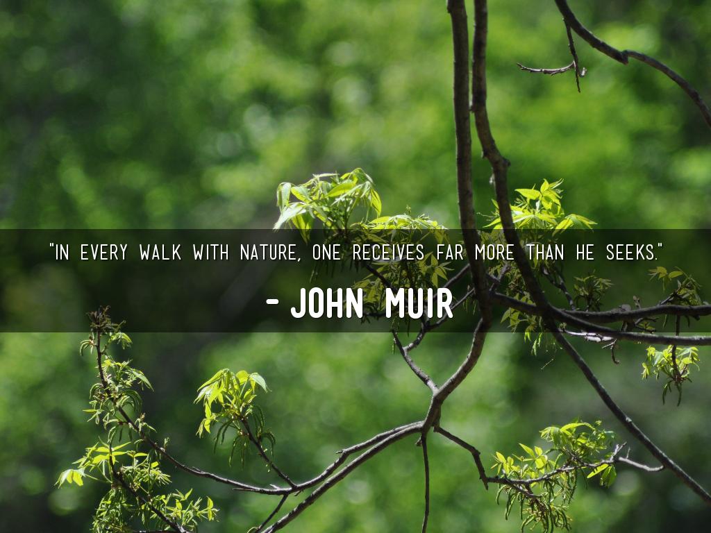 Transcendentalism nature definition picture