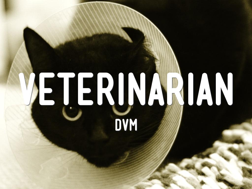 Veterinarian 