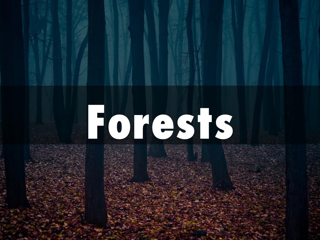 Forests