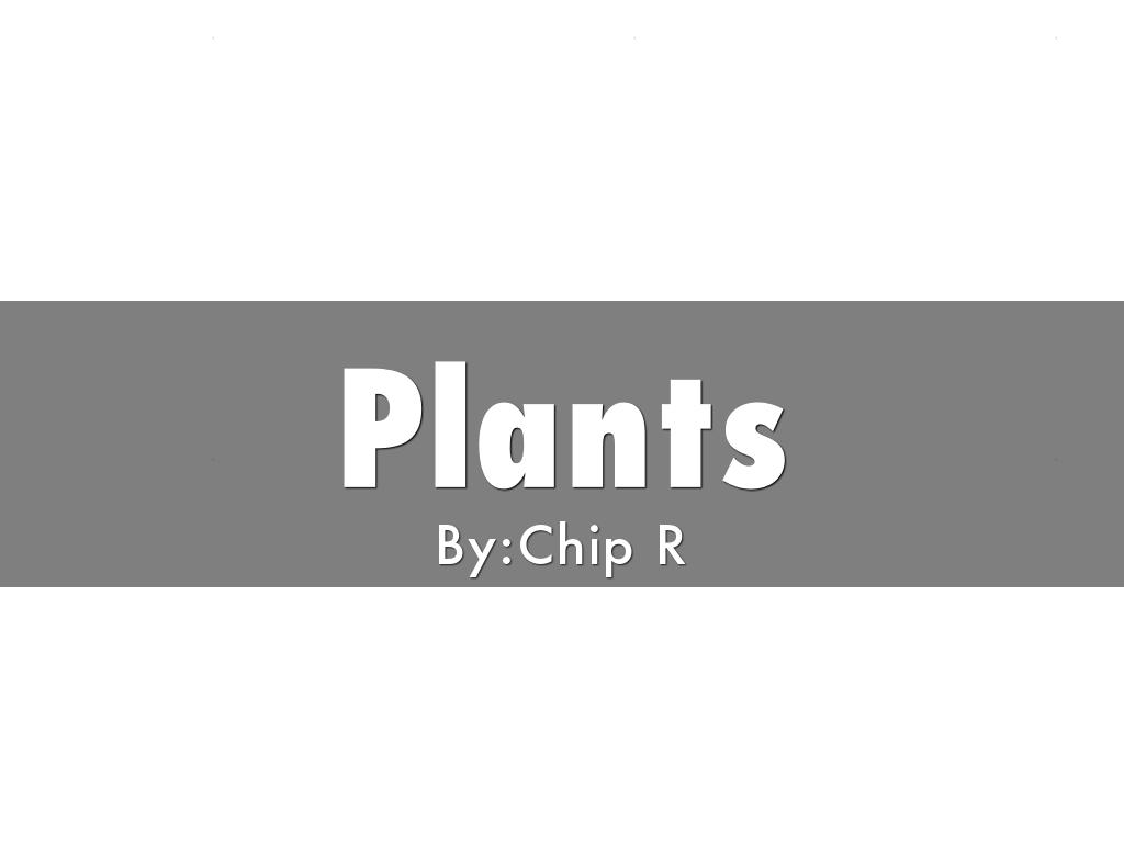 Plants