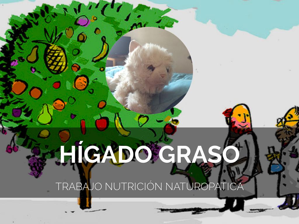 Â¿QuÃ© es Haiku Deck?