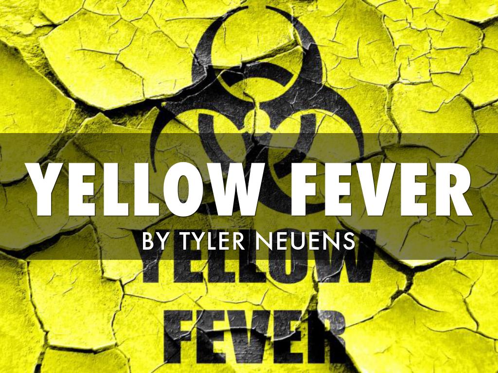 Yellow Fever 