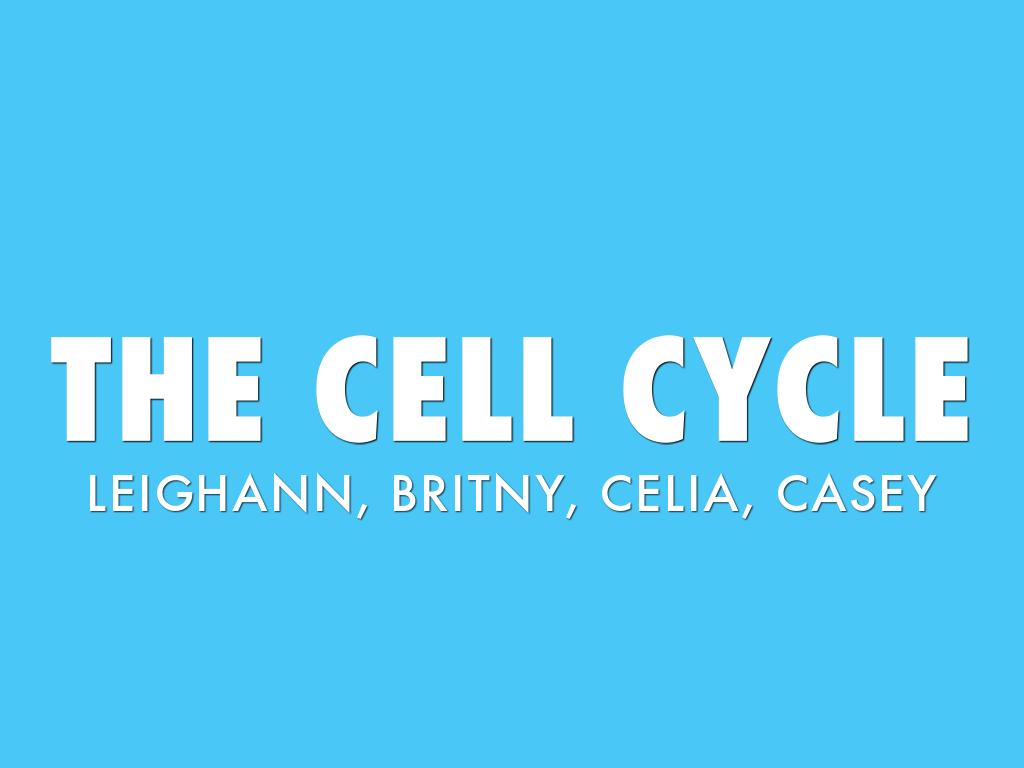 Cell Cycle