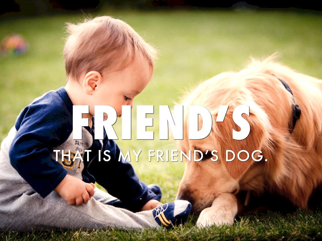 Spelling Activity 13