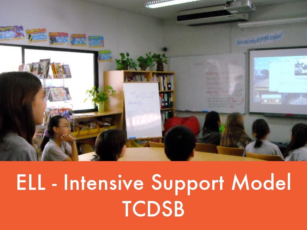 Model of Support - Intensive