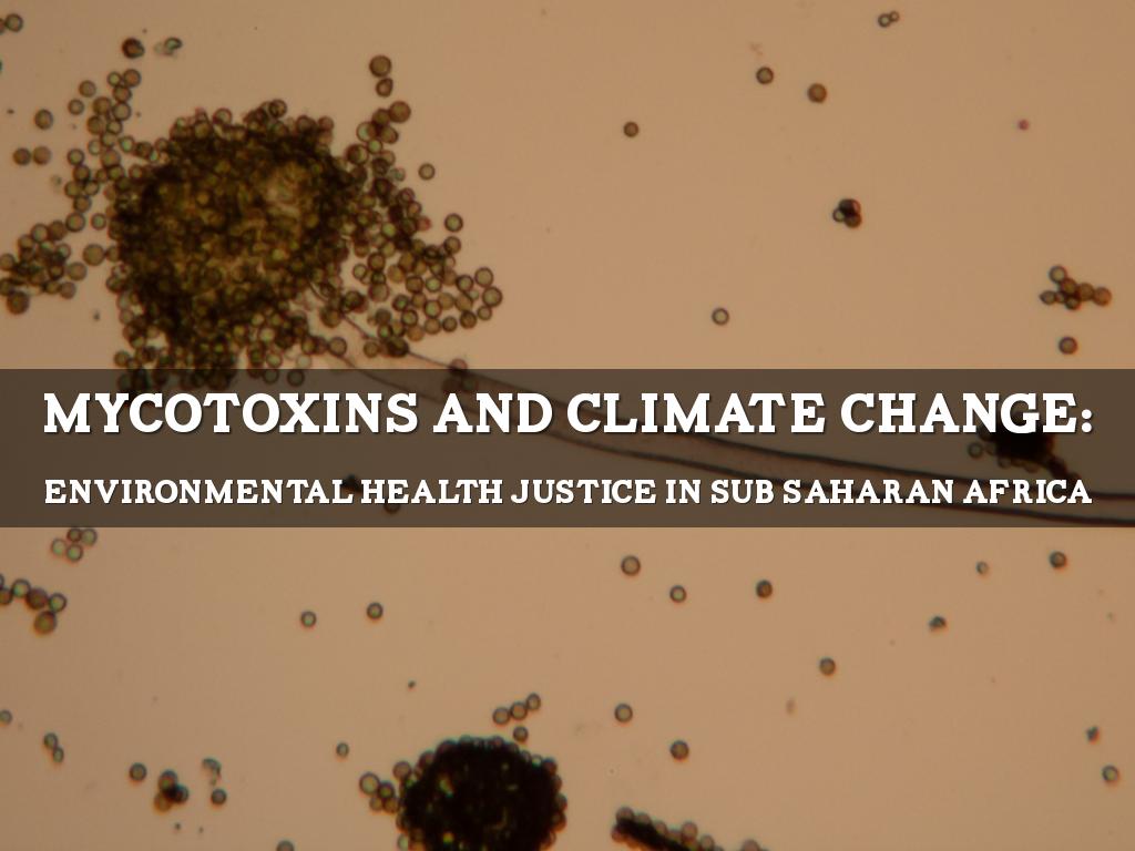 Mycotoxins ppt image