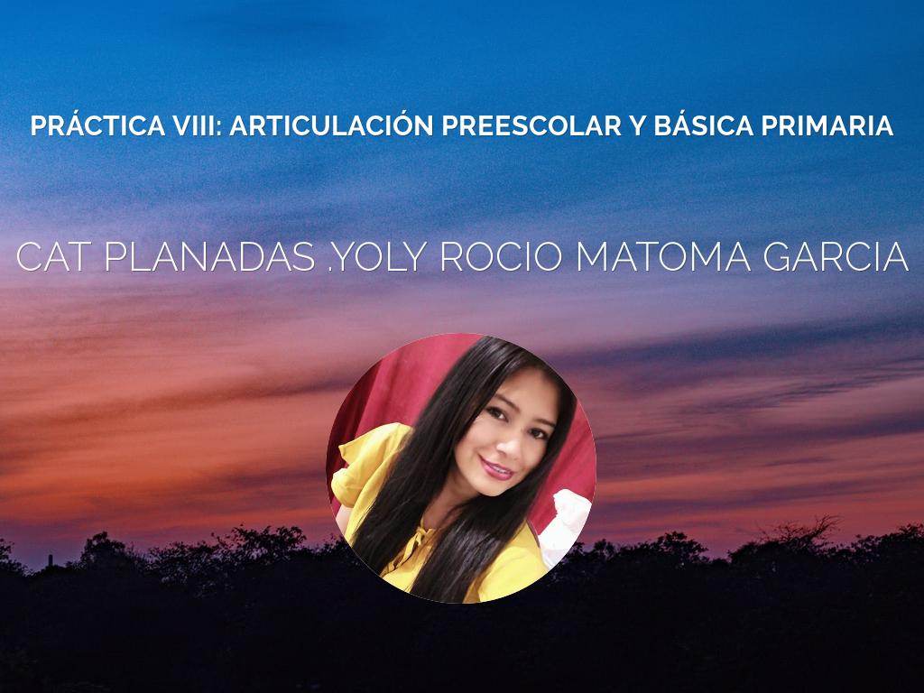 PRÁCTICA VIII: ARTICULACIÓN PREESCOLAR Y BÁSICA PRIMARIA UNIVERSIDAD DEL TOLIMA