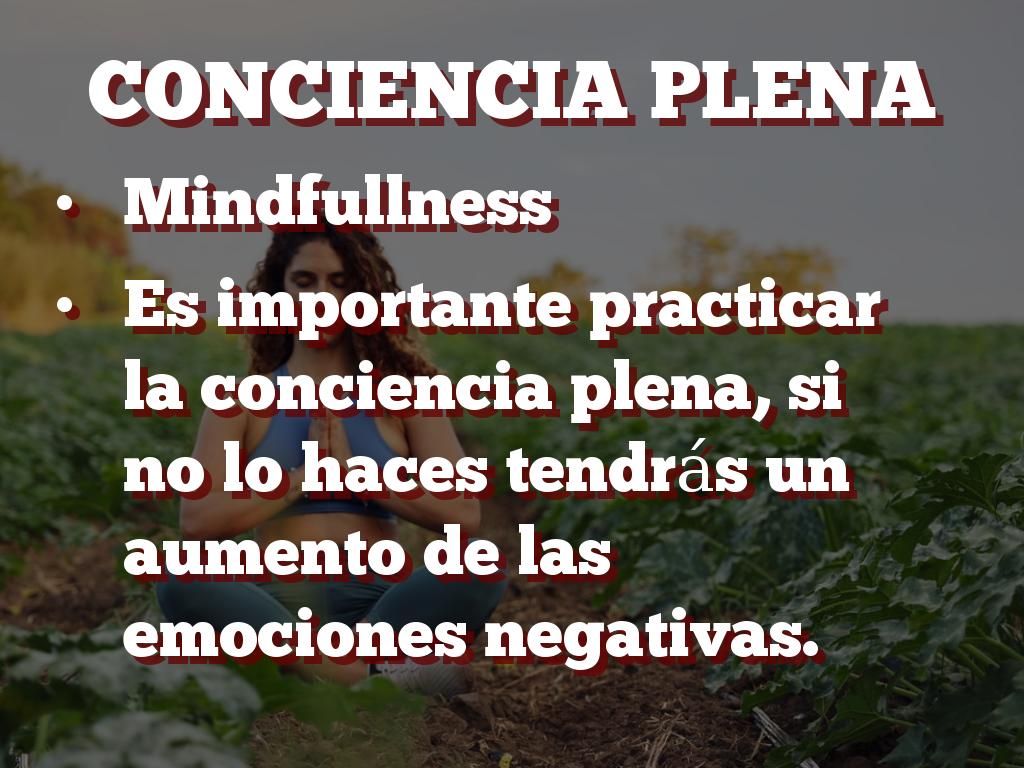 Proyecto De Vocabulario By Tamara Tamez