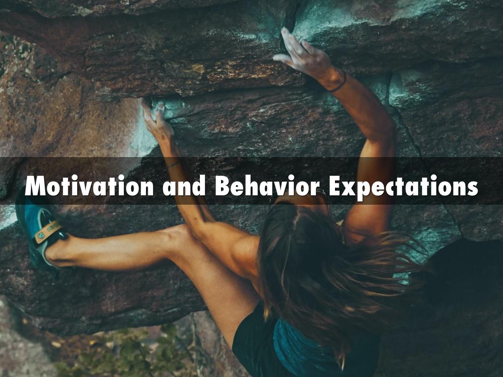 Motivation and Behavior Expectations